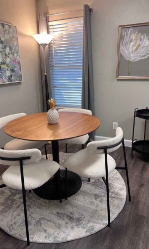 Professional Model DR